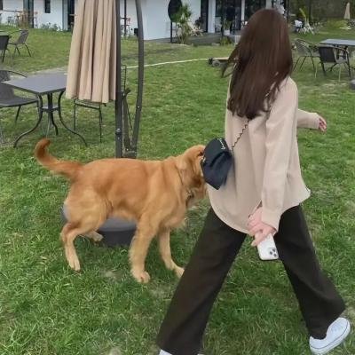 灰姑娘的故事3